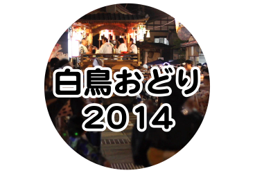 白鳥おどり 2014年