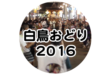 白鳥おどり 2016年