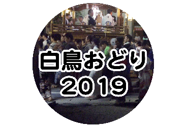 白鳥おどり 2019年