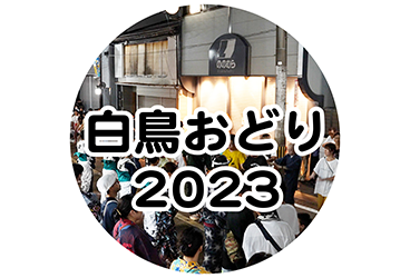 白鳥おどり 2023年