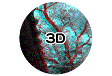 岐阜県郡上市の3D映像