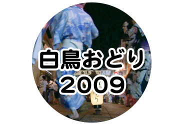 白鳥おどり 2009年