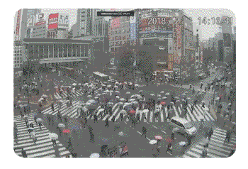 Tokyo Shibuya